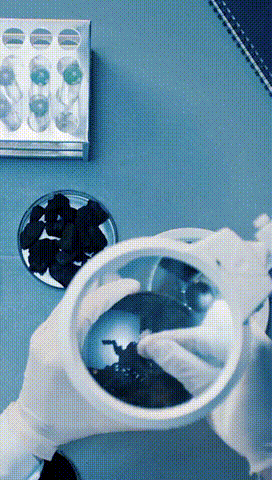 尊龙凯时·(中国区)人生就是搏!