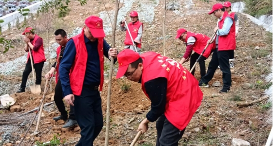 村企共建，共植先锋林