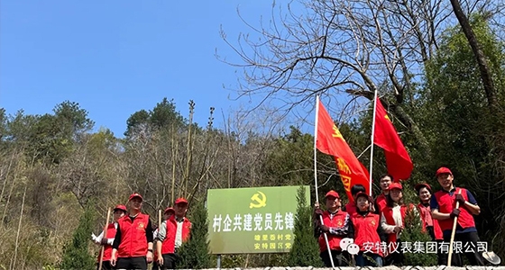 党建强引领，共植先锋林